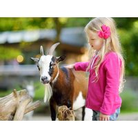 Tierische Erlebnisse im Zoo Vivarium - 3 Tage in Griesheim, Hessen inkl. Frühstück Städteurlaub online kaufen