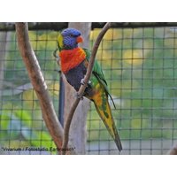 Tierische Erlebnisse im Zoo Vivarium - 5 Tage in Griesheim, Hessen inkl. Frühstück Städteurlaub online kaufen