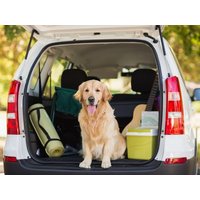 Urlaub mit Hund in der Rhein-Neckar Region - 3 Tage in Walldorf, Baden-Württemberg inkl. Frühstück Städteurlaub online kaufen Urlaub mit Hund in der Rhein-Neckar Region - 3 Tage in Walldorf, Baden-Württemberg inkl. Frühstück Städteurlaub online kaufen