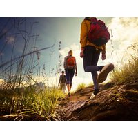 Wandern im Alpenvorland - Willkommen in Wels | 3 Tage, Oberösterreich inkl. Frühstück Städteurlaub online kaufen