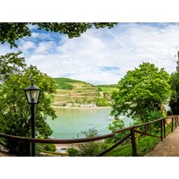 Wandertage auf dem Rheinsteig - 3 Tage in Bonn, Nordrhein-Westfalen inkl. Frühstück Städteurlaub online kaufen Wandertage auf dem Rheinsteig - 3 Tage in Bonn, Nordrhein-Westfalen inkl. Frühstück Städteurlaub online kaufen
